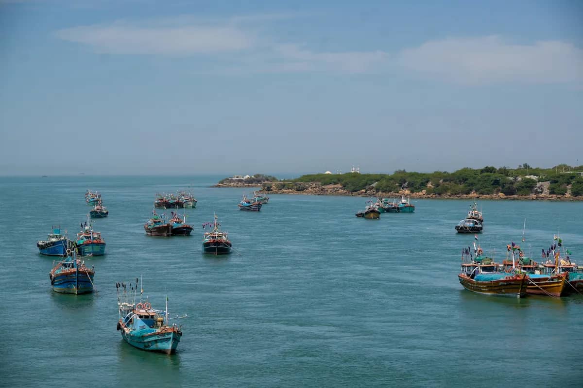 Fishing boats moored in shallow blue water