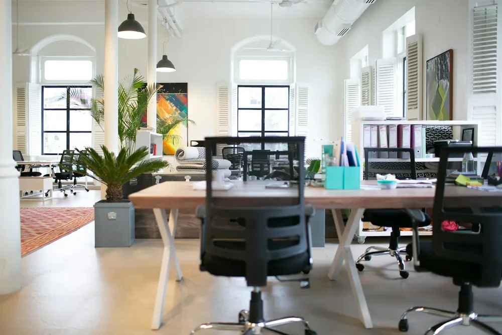 An open office with desks and plants