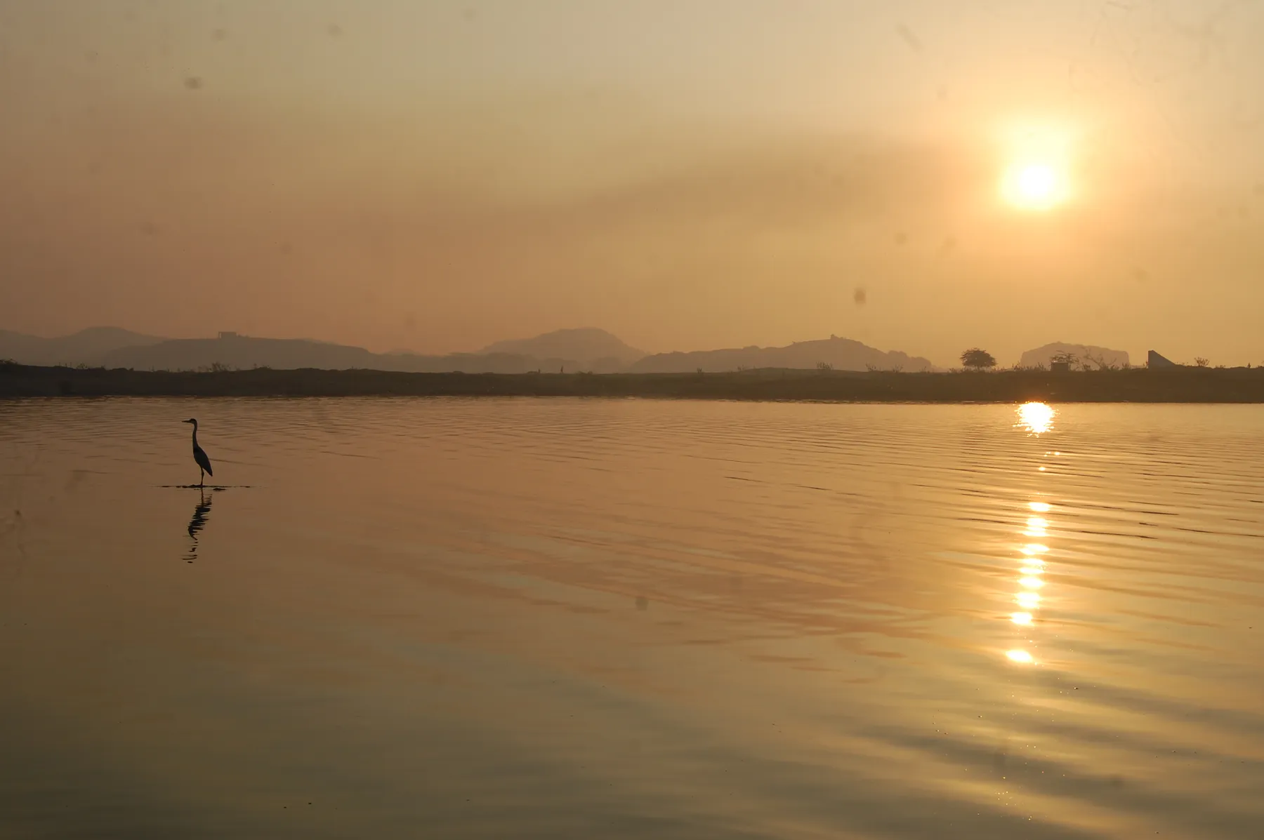 A wading bird on the water at Aji Dam at sunset